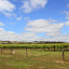 Barossa Valley Vineyards - Adelaide, Australia