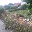 IMGP0543.JPG