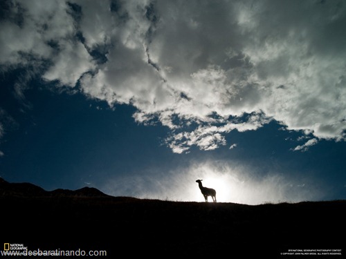 wallpapers national geographic desbaratinando (11) wallpapers national geographic desbaratinando (11)