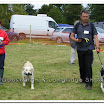 Pet Dogs 004.jpg