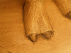 Camel toe.