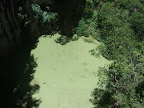 DSCF0146.JPG
