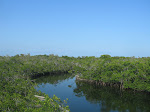 IMG_4351.jpg