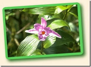 nicaragua5 nicaragua5