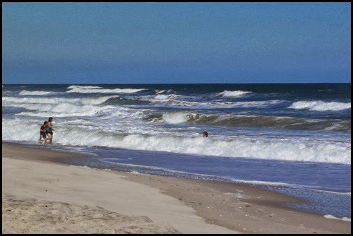 Assateague Monday (38)