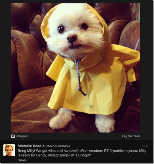 hurricane-sandy-dogs-19