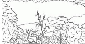 Dibujo de Kilimanjaro para colorear (África)