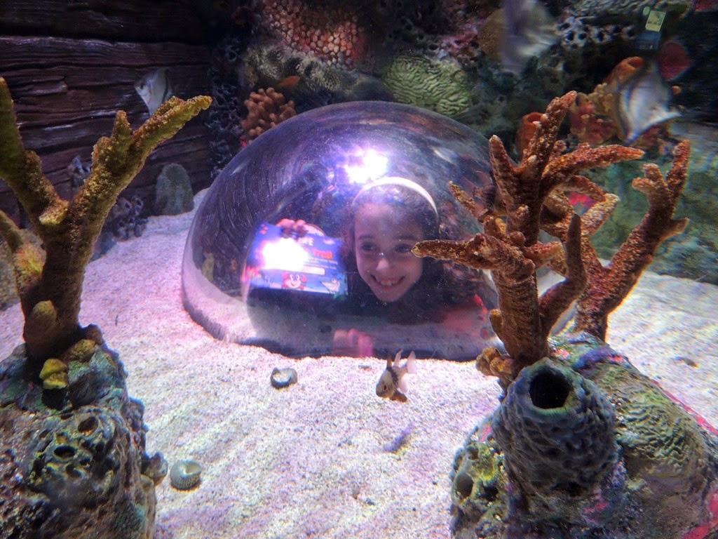 [DSCN8734%255B3%255D.jpg]