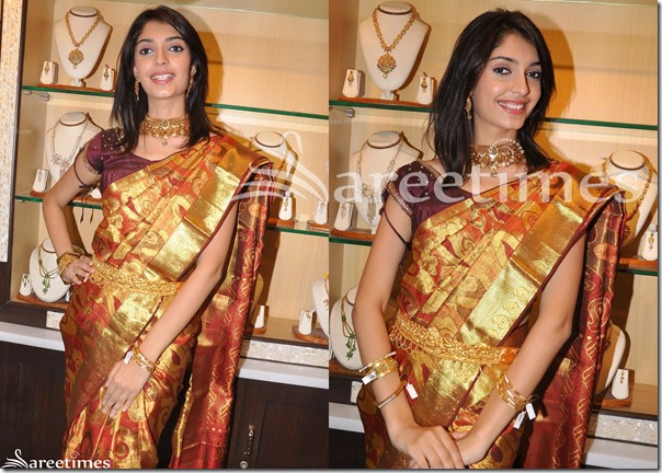 Aashna_Mishra_Traditional_Silk_Saree