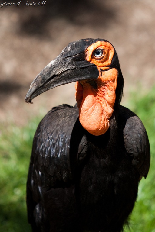 [20120716-IMG_6783-2%255B13%255D.jpg]