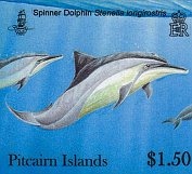 dolphins150c dolphins150c
