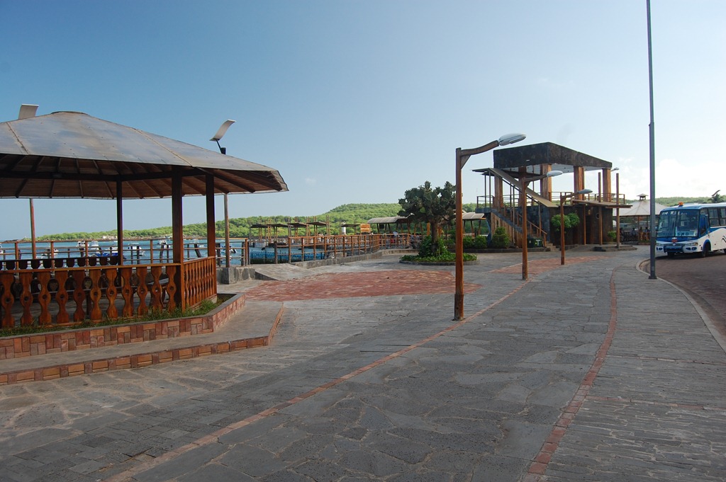 [DSC_50483.jpg]