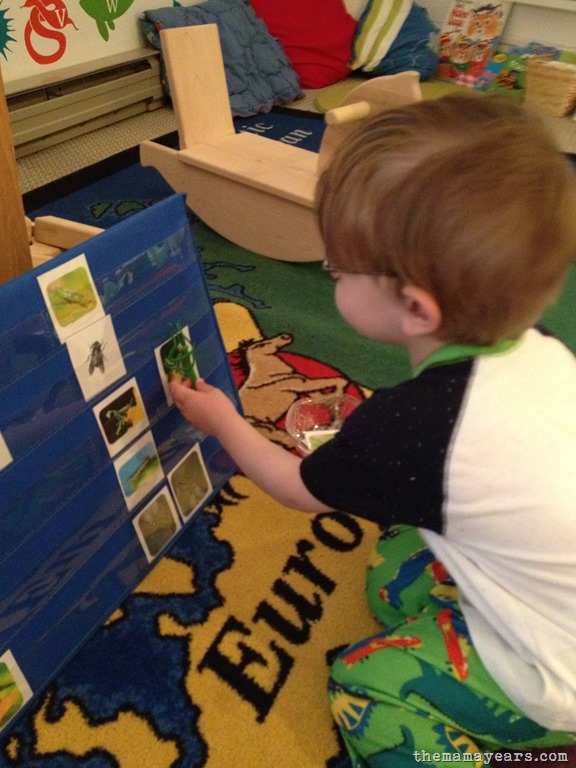 [5.13.13-tot-school-bugs224.jpg]