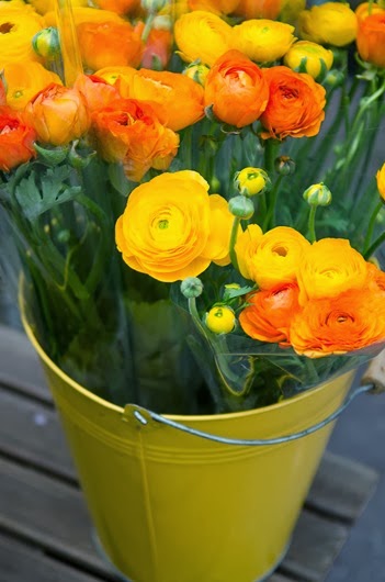 [Annecy%2520Morning%2520Blog-39%255B4%255D.jpg]