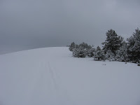 IMG_3252.JPG