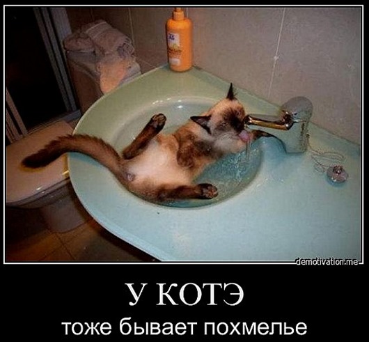 big_f2afa3165c9fed32c68a7ecd20adbda1