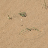 Sand circles