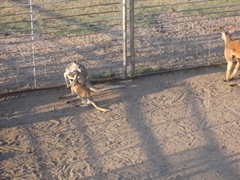 IMG_8640 IMG_8640