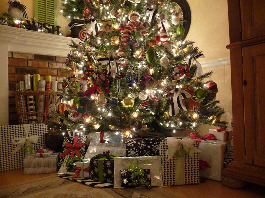 [Christmas-tree-2011-0044.jpg]