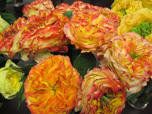 I love the multi-colored roses that are found throughout the shop. These do not have a specific name yet, for now they are called 