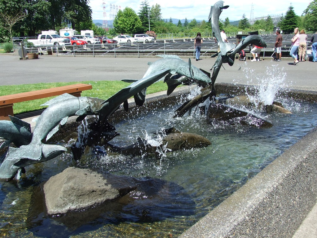 [DSCF71774.jpg]