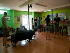 Sprachaufenthalt Santiago ECELA