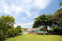 Jenni's backyard