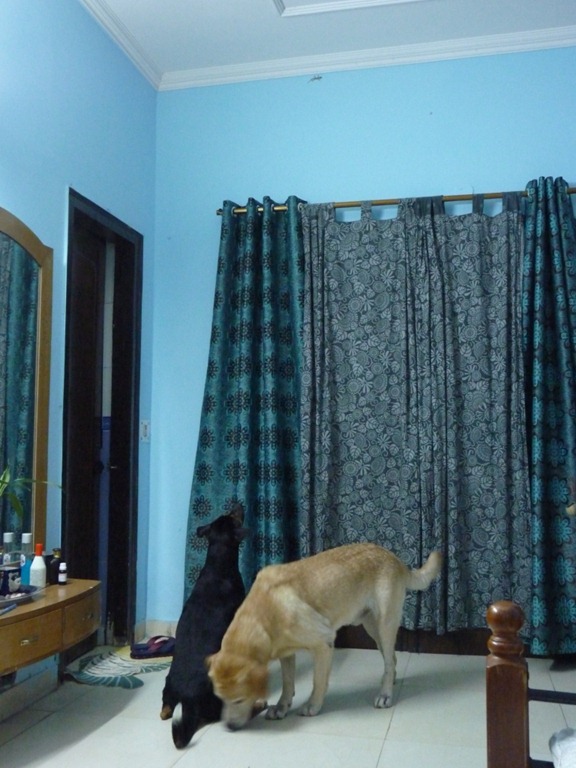 [P1030406%255B4%255D.jpg]