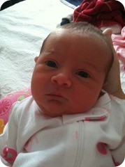 IMG_0203 IMG_0203