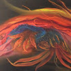 DSCF0155.JPG