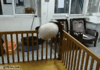 bebe panda fugindo do berço