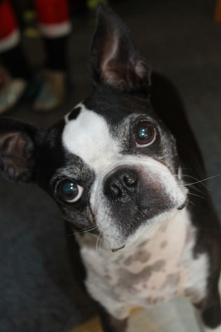 [Summer%2520Vacation%25202013%2520798%255B4%255D.jpg]