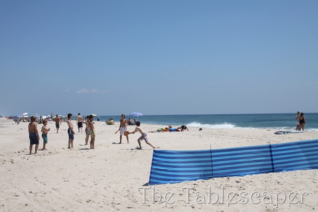 [Hunter%2527s%2520Beach%2520Birthday%2520054%255B3%255D.jpg]