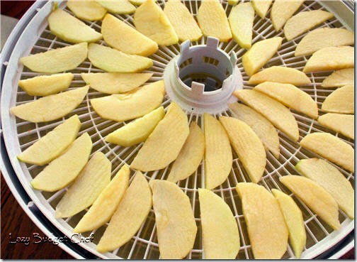 how to dry apples