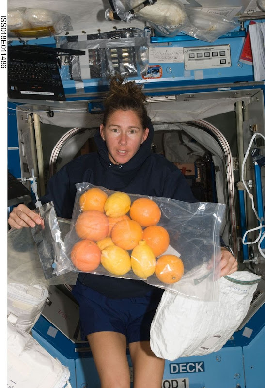 Sandra-Magnus-ISS-00 Sandra-Magnus-ISS-00
