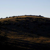 IMG_0011.JPG
