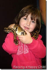 Feb4_Snakes1