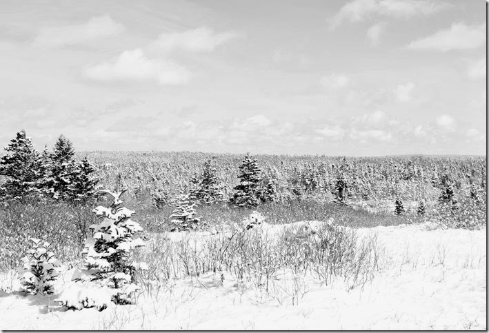 _MG_3063 _MG_3063