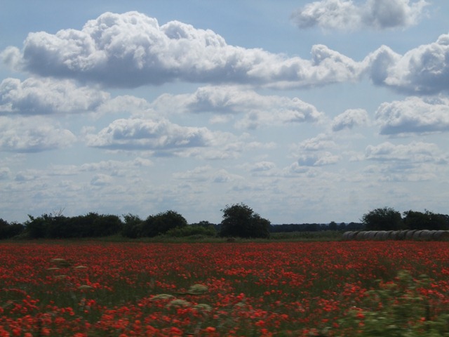 [JH%25201%2520July%2520King%2527s%2520Lynn%2520to%2520Felixstowe%2520006%255B3%255D.jpg]