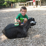 Bryan brushing a goat at the Nashville Zoo 09032011b