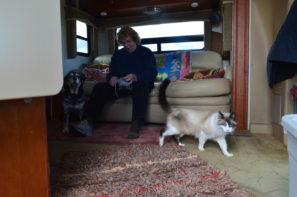 [Day-1-to-Plush_025DSC_00254.jpg]