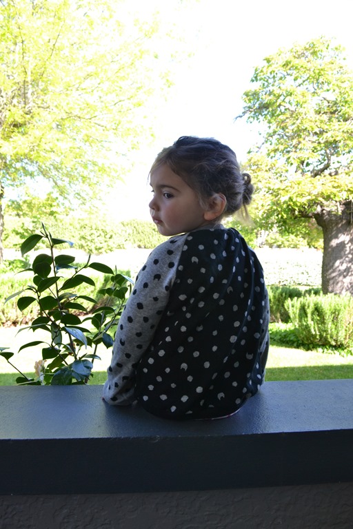 [DSC_0013%255B13%255D.jpg]