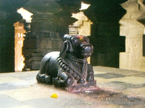 Nandi Nandi
