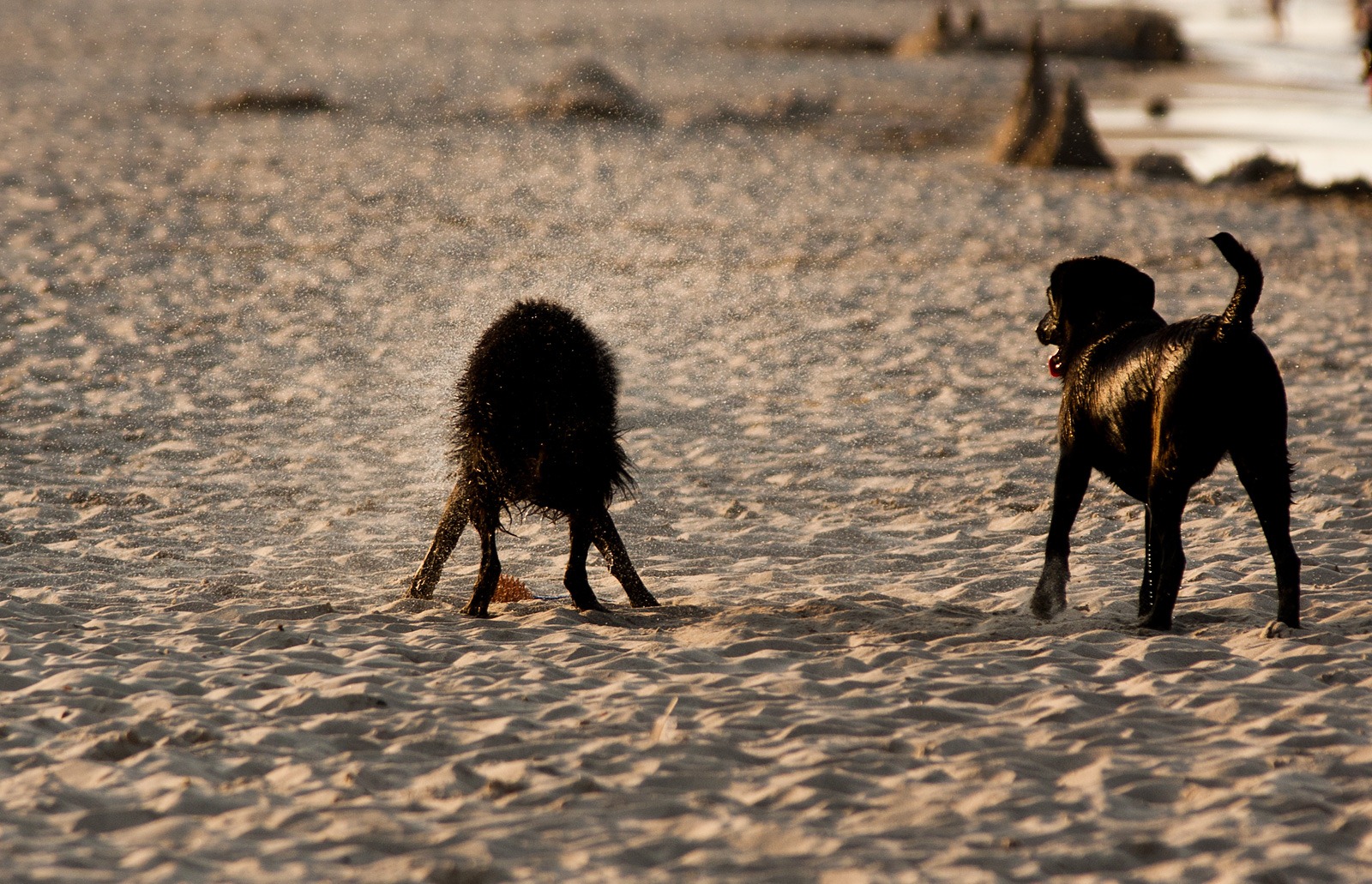 [IMG_20110820_190434_2666%255B2%255D.jpg]