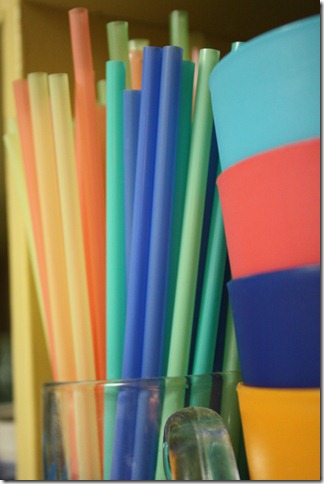 IMG_6133 IMG_6133
