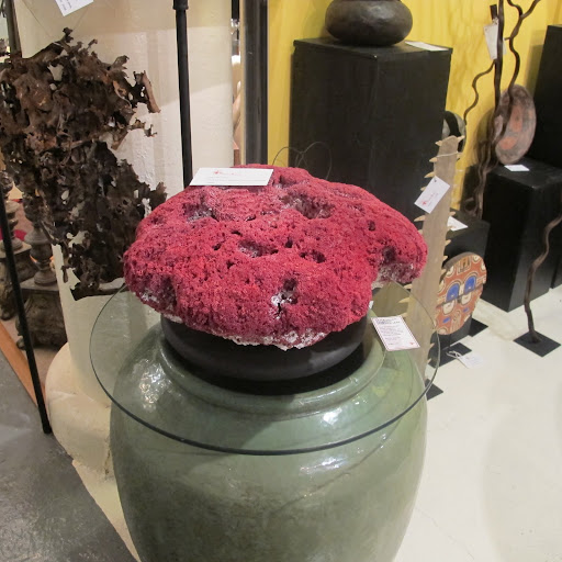 Coral is such a beautiful piece of nature to use as art for decorating.