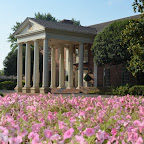 Mansion Summer 2012
