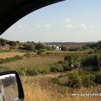 155.JPG