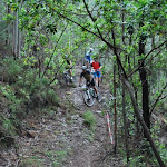 DSC_0113.JPG