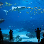 Aquarim Overnighter
